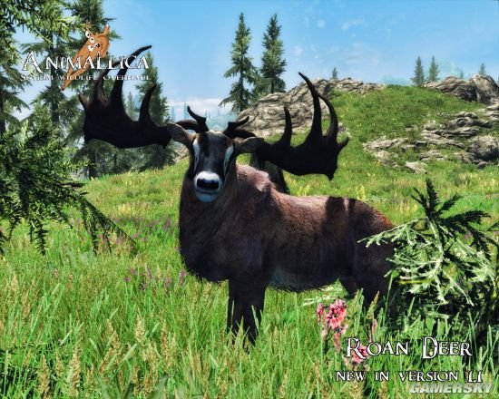 《上古卷轴5》女生向MOD合集第2弹 巫师3、恶魔城Shanoa等服装MOD