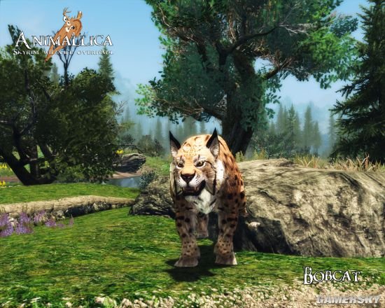 《上古卷轴5》女生向MOD合集第2弹 巫师3、恶魔城Shanoa等服装MOD