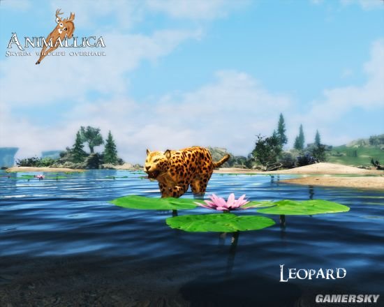 《上古卷轴5》女生向MOD合集第2弹 巫师3、恶魔城Shanoa等服装MOD