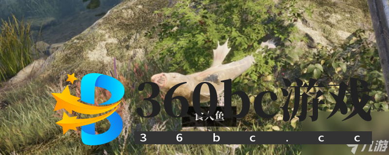 《上古卷轴4：湮灭重制版》任务避坑指南分享