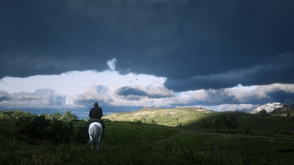 荒野大镖客救赎2中文版高清地图分享