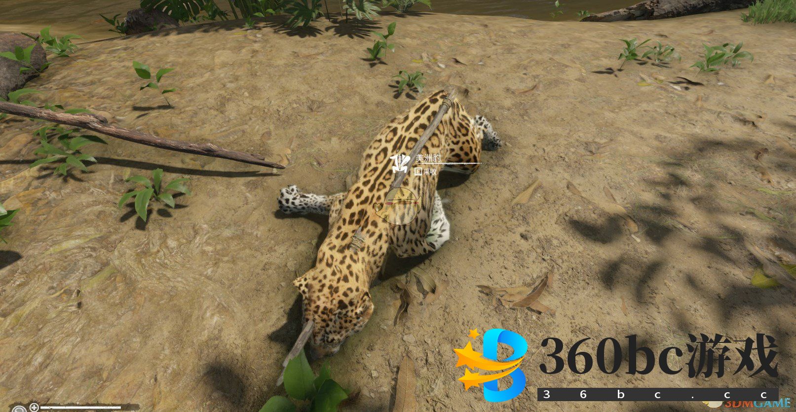 《绿色地狱》全刀类武器合成配方一览