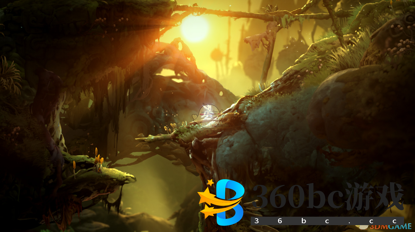 《奥日与萤火意志》游戏闪退解决方法分享