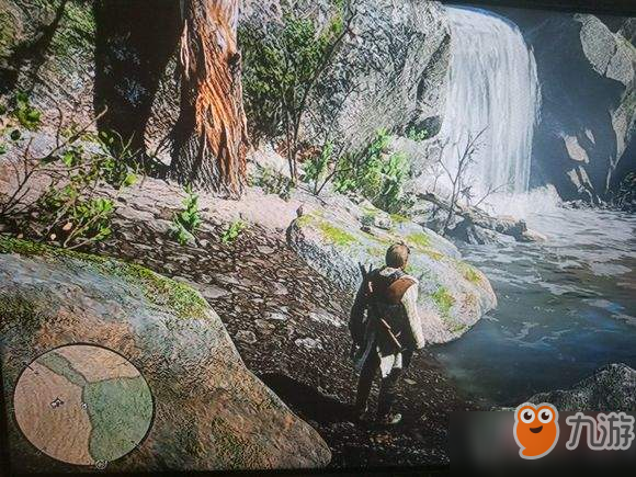 荒野大镖客2四个金条在哪【毒图宝藏4个金条获取攻略】[图]