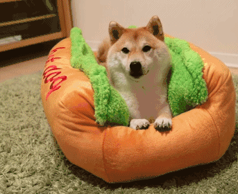 放置奇兵攻略 新手入门建议 放置奇兵攻略 新手入门建议