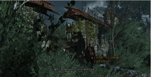 巫师三狂猎石之心DLC全流程攻略  第四节：婚宴回忆（1）