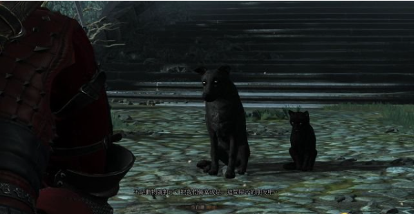 巫师三狂猎石之心DLC全流程攻略  第四节：婚宴回忆（1）