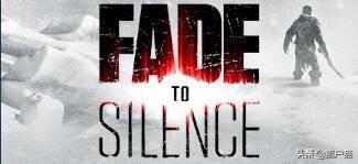 归于沉寂雪地求生