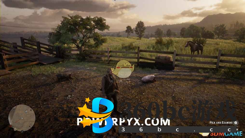 《荒野大镖客2》伞菌采集位置介绍