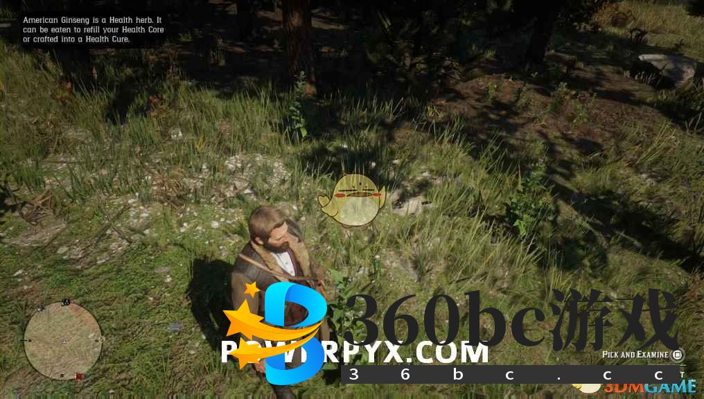 《荒野大镖客2》印第安烟草采集位置介绍