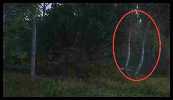 天国拯救2跟班支线任务怎么完成