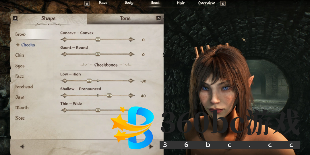 《上古卷轴4：湮灭重制版》木精灵捏脸分享-第4张-单机攻略-GASK