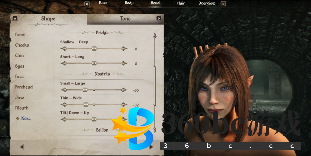 《上古卷轴4：湮灭重制版》木精灵捏脸分享-第13张-单机攻略-GASK