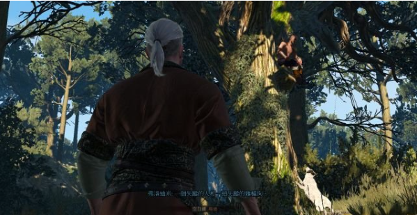 巫师三狂猎石之心DLC全流程攻略  第二节：阳间派对（2）