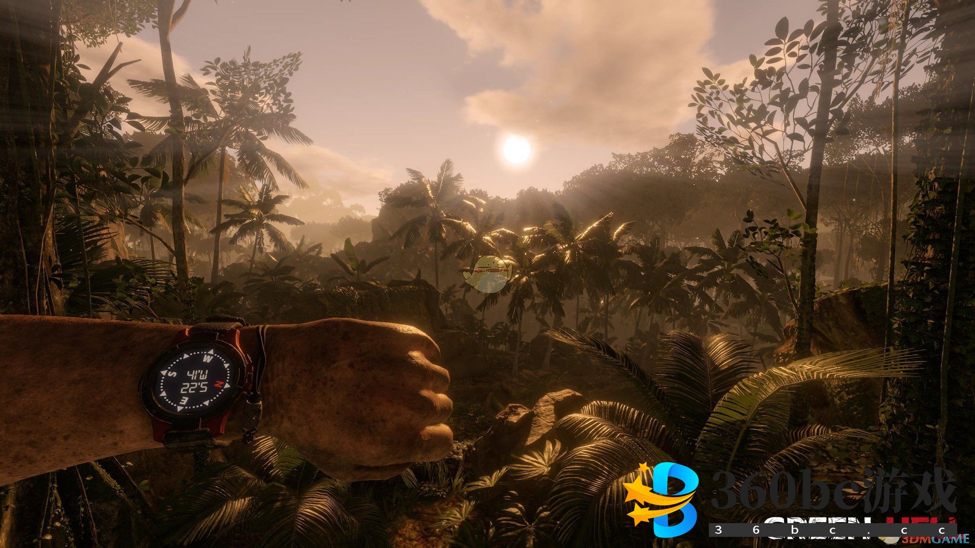 《绿色地狱》蜂蜜敷料作用介绍