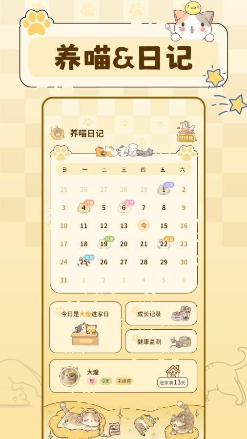 养猫日记